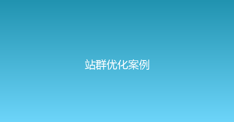 站群优化案例 封面图