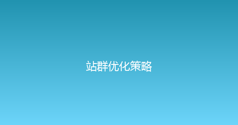 站群优化策略 封面图