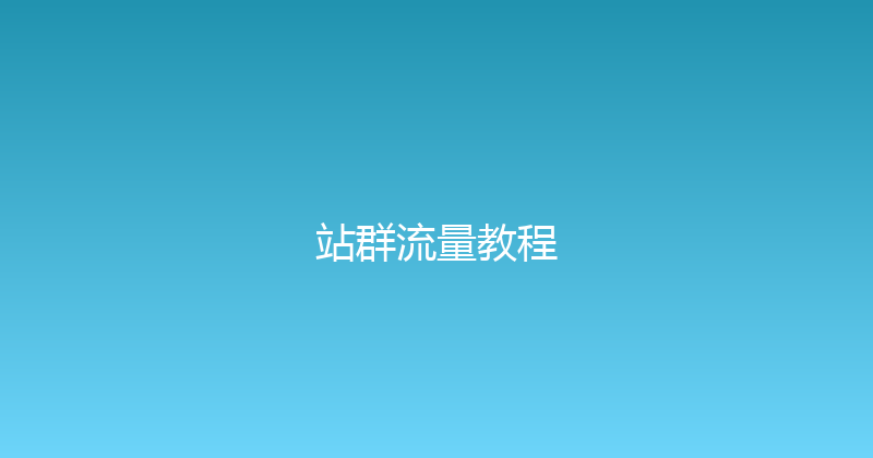 站群流量教程 封面图