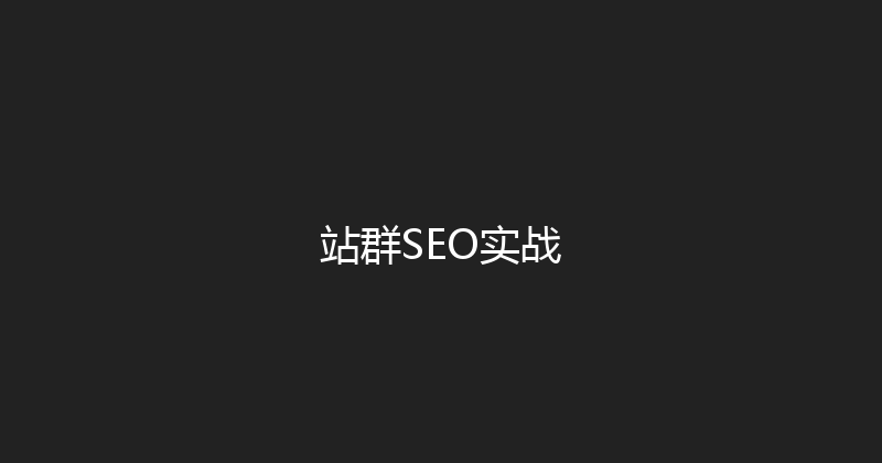 站群SEO实战 封面图