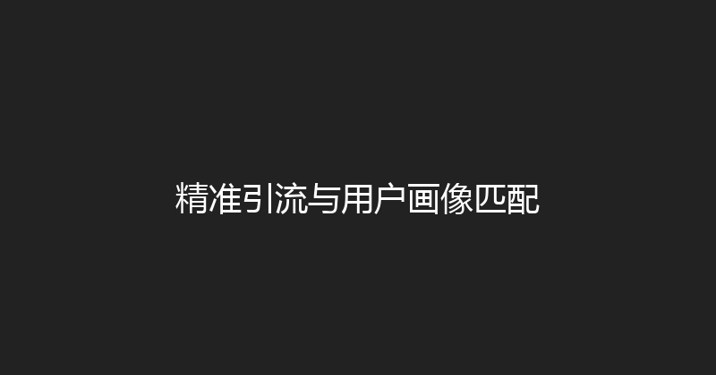 精准引流与用户画像匹配 封面图
